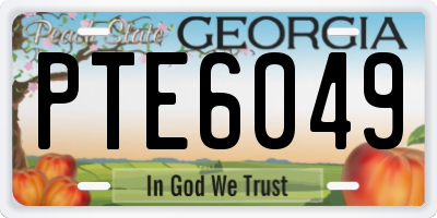 GA license plate PTE6049