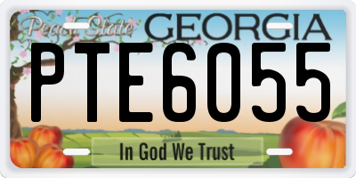GA license plate PTE6055