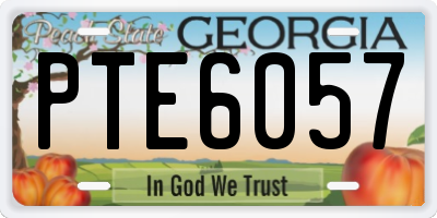 GA license plate PTE6057