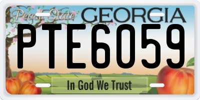 GA license plate PTE6059