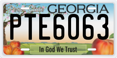 GA license plate PTE6063