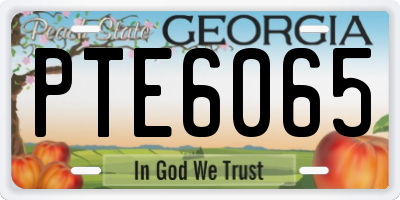 GA license plate PTE6065