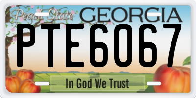 GA license plate PTE6067