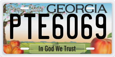 GA license plate PTE6069