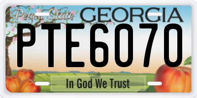 GA license plate PTE6070