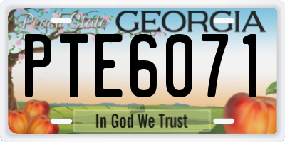GA license plate PTE6071