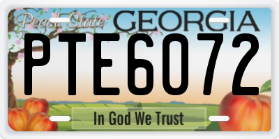 GA license plate PTE6072
