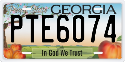 GA license plate PTE6074