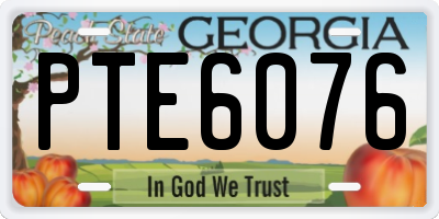 GA license plate PTE6076