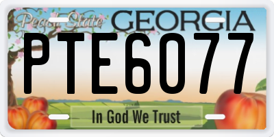 GA license plate PTE6077