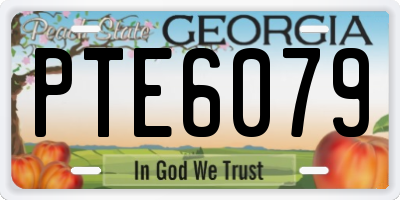 GA license plate PTE6079
