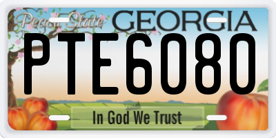 GA license plate PTE6080