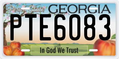 GA license plate PTE6083