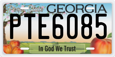 GA license plate PTE6085