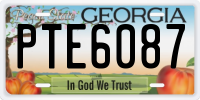 GA license plate PTE6087