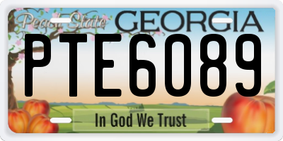 GA license plate PTE6089