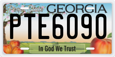 GA license plate PTE6090
