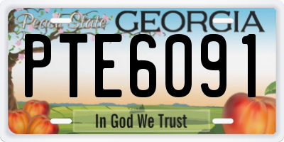 GA license plate PTE6091