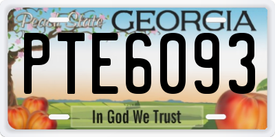 GA license plate PTE6093