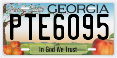 GA license plate PTE6095