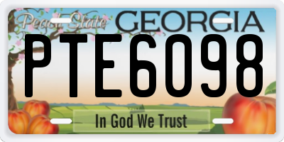 GA license plate PTE6098