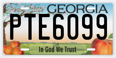 GA license plate PTE6099
