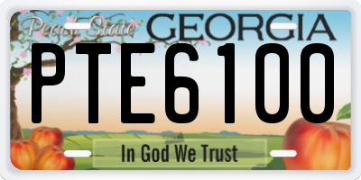 GA license plate PTE6100