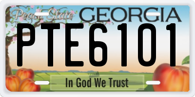 GA license plate PTE6101
