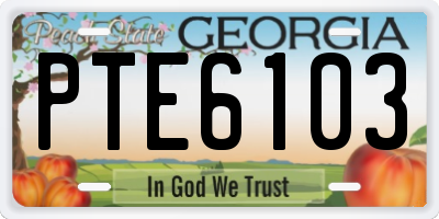 GA license plate PTE6103