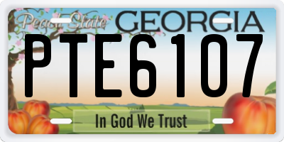 GA license plate PTE6107