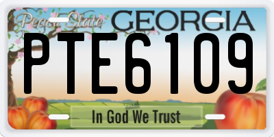 GA license plate PTE6109