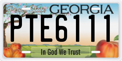 GA license plate PTE6111