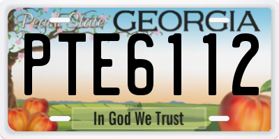 GA license plate PTE6112