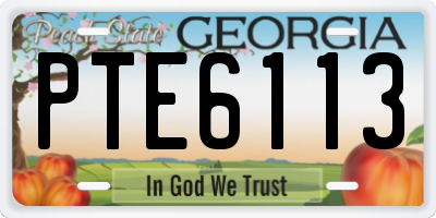 GA license plate PTE6113