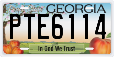 GA license plate PTE6114