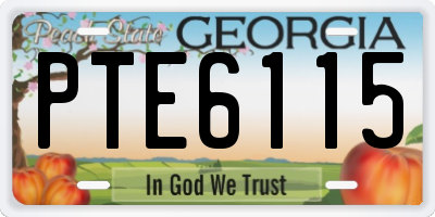 GA license plate PTE6115