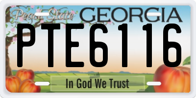 GA license plate PTE6116