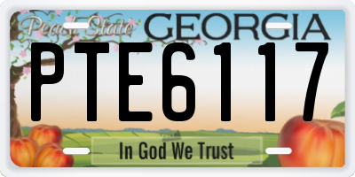 GA license plate PTE6117