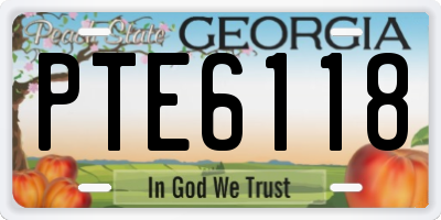 GA license plate PTE6118