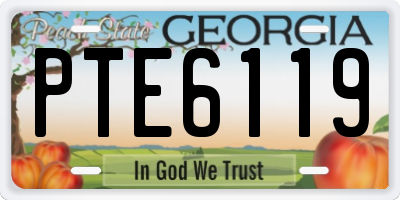 GA license plate PTE6119