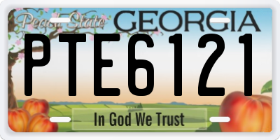 GA license plate PTE6121