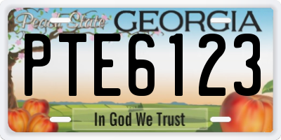 GA license plate PTE6123