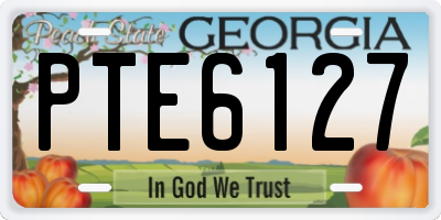 GA license plate PTE6127