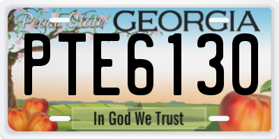 GA license plate PTE6130