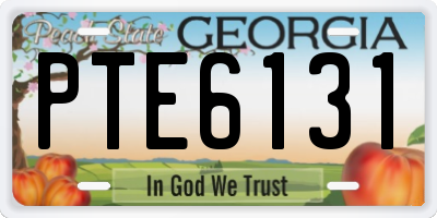GA license plate PTE6131