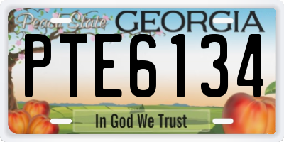GA license plate PTE6134