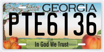 GA license plate PTE6136