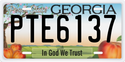 GA license plate PTE6137