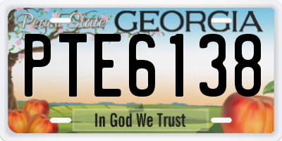 GA license plate PTE6138
