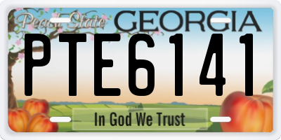 GA license plate PTE6141